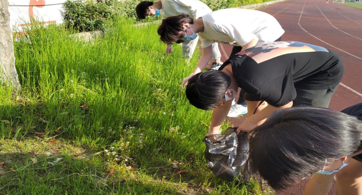 同学,你劳动的身影真美 --交通工程学院组织留校学生开展劳动教育